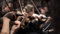 housle classical-music-1838390 960 720
